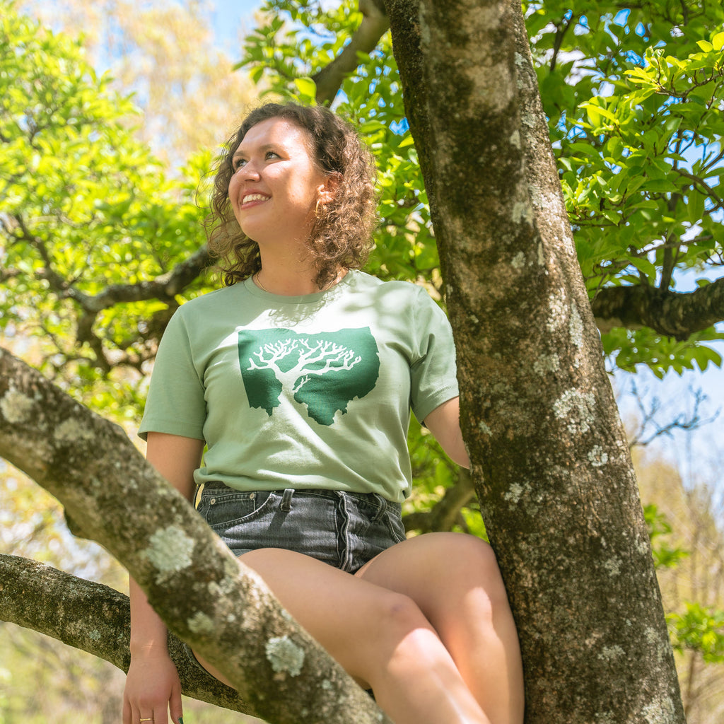 Ohio Tree Logo